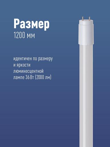 Лампа светодиодная LED 20Вт T8 G13 D25х1200 4000К белый 2000 лм фото 3