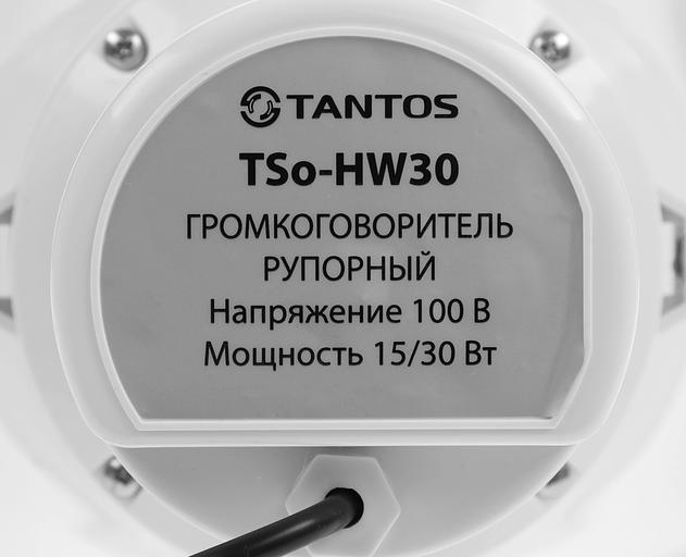 Громкоговоритель Tantos TSo-HW30 рупорный 30Вт белый (00-00025066) фото 5