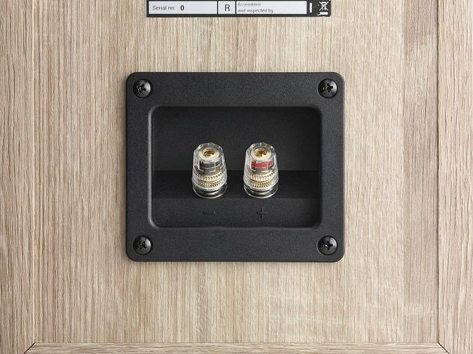 Полочная акустическая система DALI OBERON 3. Цвет: Светлый дуб [LIGHT OAK] фото 5