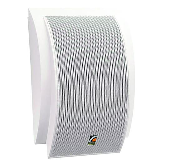 Настенный громкоговоритель ROXTON SWS-10 фото 1