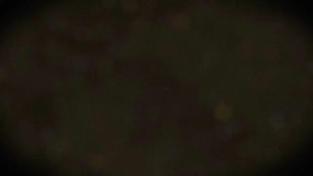 Заточный станок для дисковых ножей СЗД-02-300 фото 4