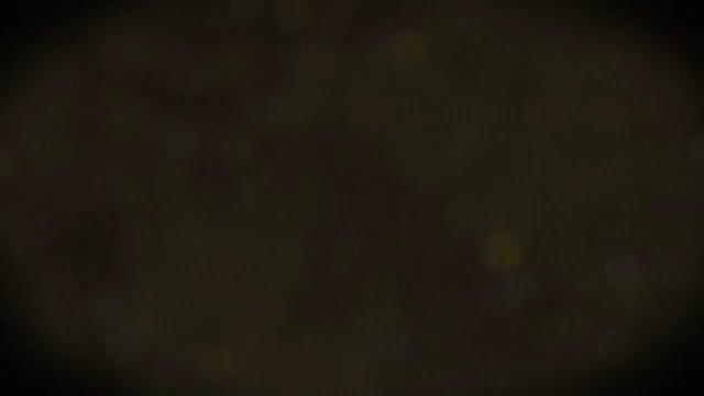 Станок для заточки боенских, разделочных ножей СЗН-02 фото 5