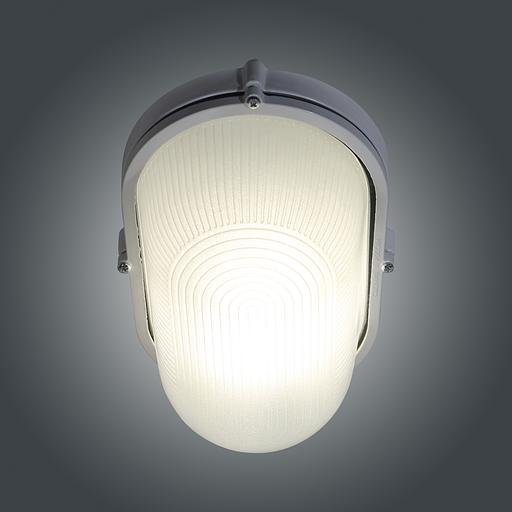 Светильник НПП 03-100-017 "Банник" 1201 овал большой 1х100Вт E27 IP65 корпус бел. Элетех 1005500932 фото 4