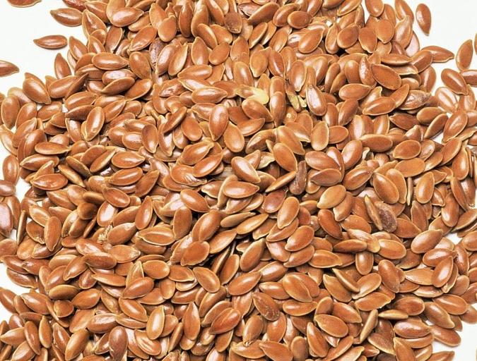 Семена льна «Северный» РС-1 опт фото 1