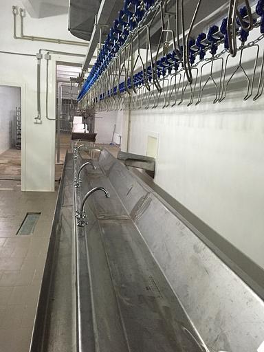 Желоб разборки потрохов ВИ-1015 фото 3