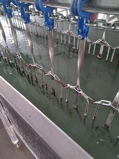 Ванна охлаждения после воскования тушек птицы фото 1