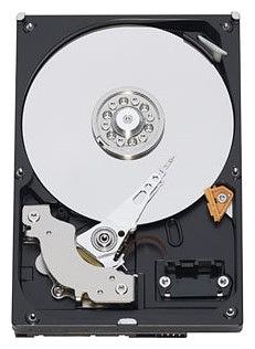 Жесткий диск WD Original SATA-III 1000GB WD10EZEX Desktop Caviar Blue (7200rpm) 64Mb 3.5" фото 1
