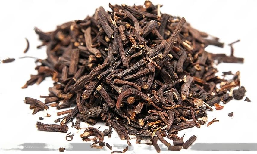 Морозник кавказский ОПТ фото 1