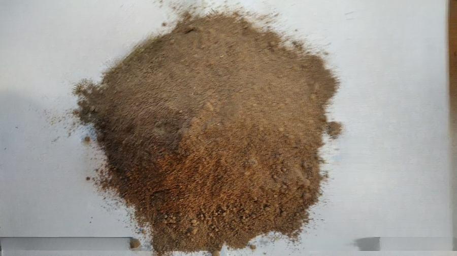 Белый гриб (порошок) фото 1