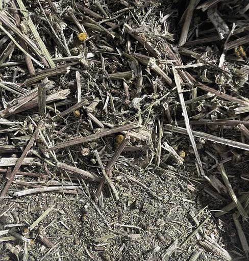 Травяной сбор - Пижма фото 1