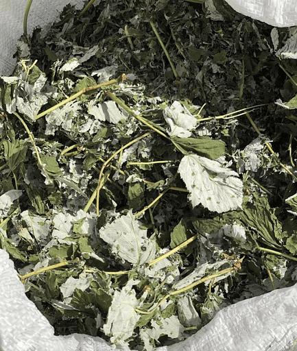 Травяной сбор - Лист малины фото 1