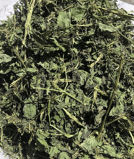 Травяной сбор - Трава Крапивы фото 1