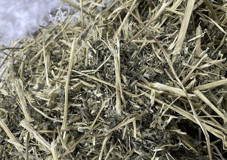 Травяной сбор - Череда фото 1