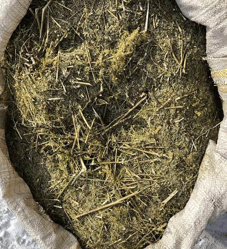 Травяной сбор - Золотарник фото 1