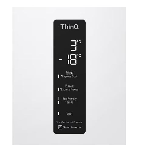 Холодильник LG GC-B509MQWM фото 8