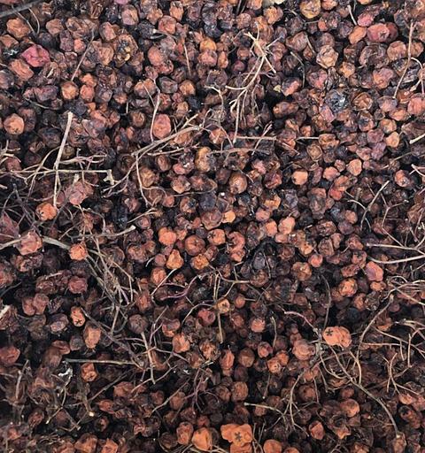 Сбор ягод - Рябина красная фото 1