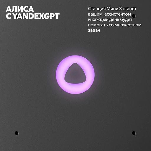 Умная колонка Яндекс Станция Мини 3, модель YNDX-00027 (чёрный) фото 5