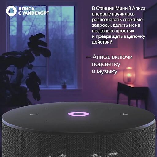 Умная колонка Яндекс Станция Мини 3, модель YNDX-00027 (чёрный) фото 6