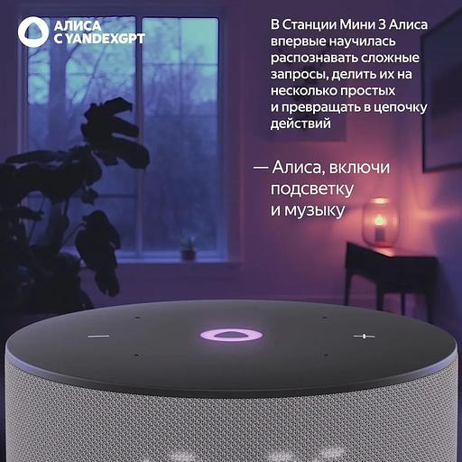 Умная колонка Яндекс Станция Мини 3, модель YNDX-00027 (серый) фото 6