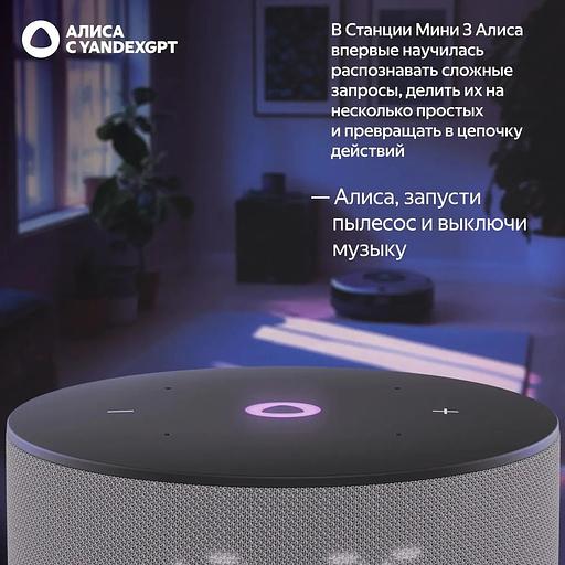 Умная колонка Яндекс Станция Мини 3, модель YNDX-00027 (серый) фото 7