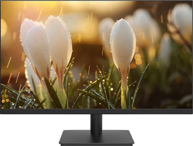 Монитор Dahua 23.8" DHI-LM24-A201A черный IPS LED 5ms 16:9 HDMI M/M матовая HAS Piv 1000:1 250cd 178гр/178гр 1920x1080 100Hz VGA DP FHD 5кг фото 1