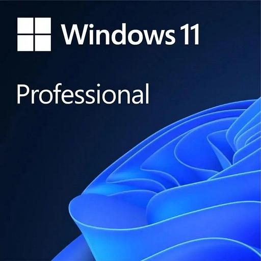 Операционная система Microsoft Windows 11 Professional Конверт OEM (FQC-10547) фото 1