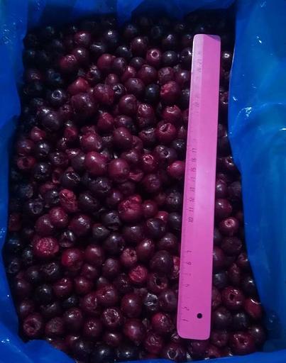 Вишня замороженная «Лутовка» без косточки опт фото 1