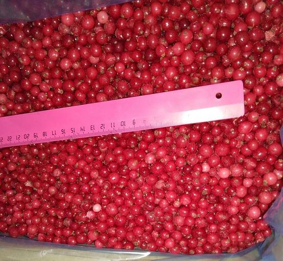 Красная смородина замороженная опт фото 1