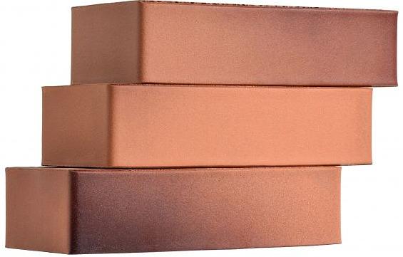 Кирпич керамический лицевой Recke 6-21-00-0-00 1NF М250 опт фото 3