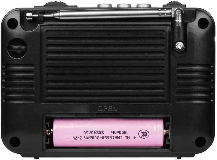 RITMIX RPR-161 фото 3