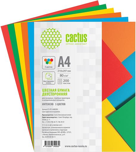 Бумага Cactus CS-CPC-A480200 A4/80г/м2/200л./радуга интенсив (5цветов) фото 3