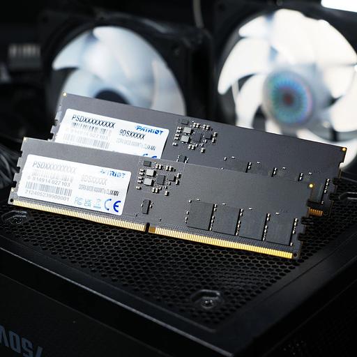 Оперативная память PATRIOT DDR 5 CUDIMM 32Gb 6400Mhz, Signature Line (PSD532G6402C) (retail) фото 3