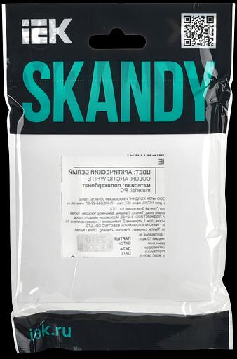 SKANDY Рамка 1-местная SK-F01W арктический белый IEK фото 7
