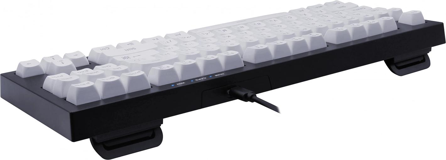 Клавиатура DEFENDER (45401) Harpie GK-401 RU,чер/бел,87кн+FN,радуж,1.5м фото 4