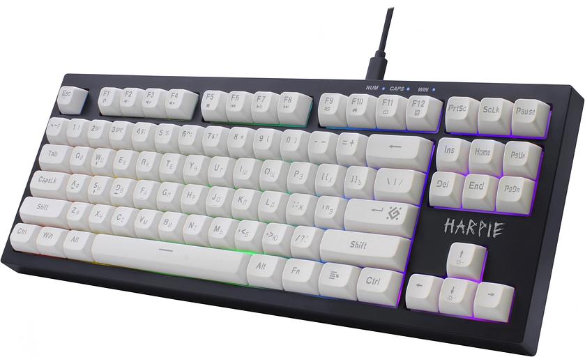 Клавиатура DEFENDER (45401) Harpie GK-401 RU,чер/бел,87кн+FN,радуж,1.5м фото 5