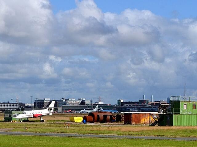 Семена травосмеси для рекультивации полигонов опт фото 1