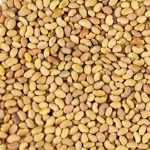 Семена люцерны изменчивой «Находка РС-1» опт фото 1