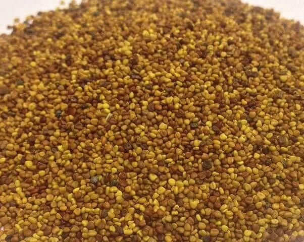 Семена розового клевера РСт опт фото 1