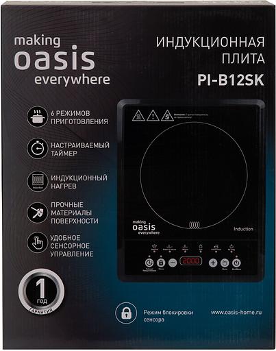 Плита Индукционная Oasis PI-B12SK черный закаленное стекло (настольная) (РI-B12SK) фото 7