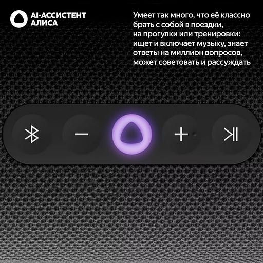 Портативная умная колонка Яндекс Станция Стрит с Алисой, 30 Вт, YNDX-00030BLK, чёрный фото 3