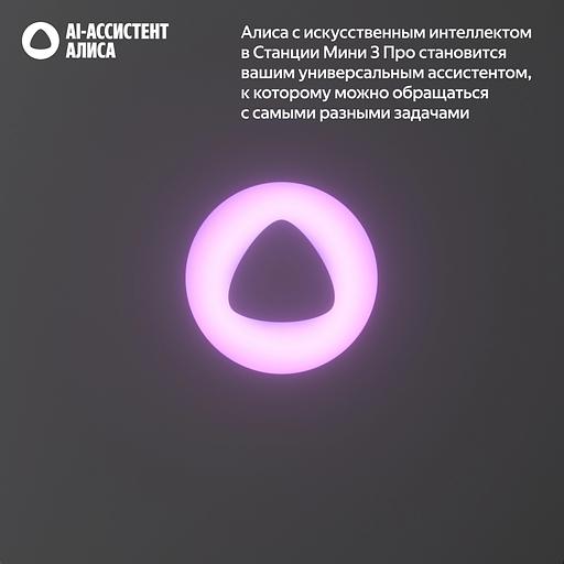 Умная колонка Яндекс Станция Мини 3 Про с Алисой, Zigbee, черный, YNDX-00059BLK фото 4