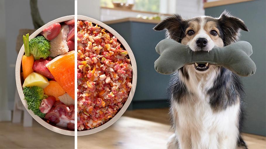 Мясорубка Bosch MFWS609W белый фото 8