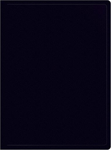 Папка с 40 прозр.вклад. Silwerhof Eco SE-V40BLK A4 пластик 0.5мм черный фото 1