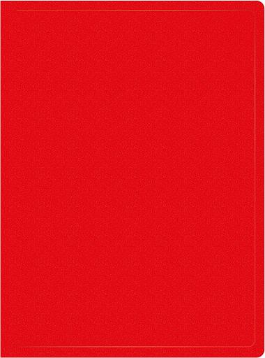 Папка с 40 прозр.вклад. Silwerhof Eco SE-V40RED A4 пластик 0.5мм красный фото 1