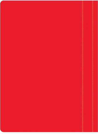 Папка-скоросшиватель Silwerhof Eco SE-PSE20/RED A4 прозрач.верх.лист пластик красный 0.11/0.13 фото 3