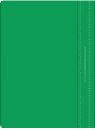 Папка-скоросшиватель Silwerhof Eco SE-PSE20/GRN A4 прозрач.верх.лист пластик зеленый 0.11/0.13 фото 3