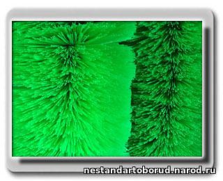 Экструзионная линия ЭЛ-15ПМ фото 1