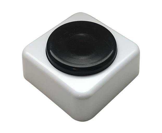 Кнопка звонка (выключатель для бытовых электрических звонков) Тритон ВЗ1-01 фото 1