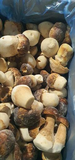 Грибы белые целые замороженные опт фото 3