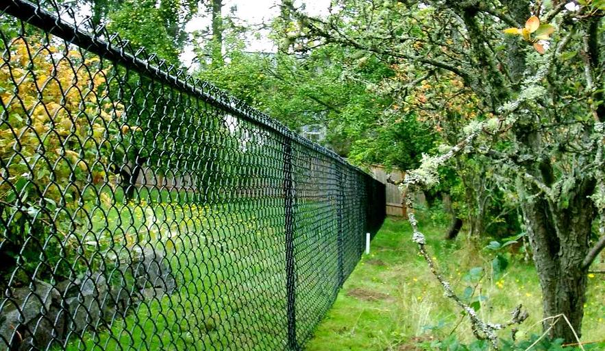 Заборы из сетки-рабицы опт фото 1